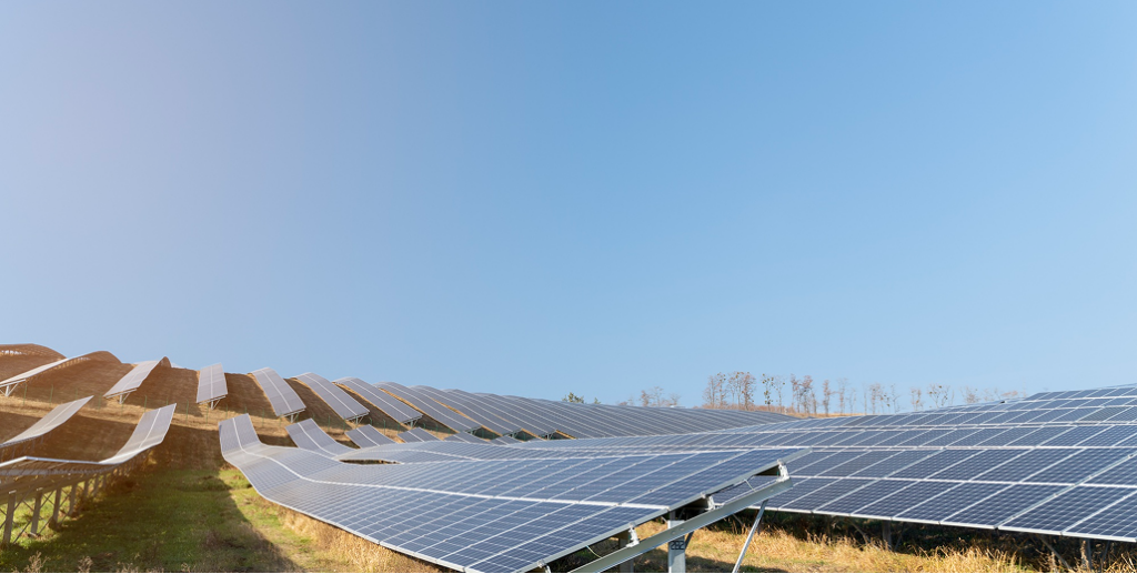A large field of solar panels installed on a sunlit grassy slope under a clear blue sky.