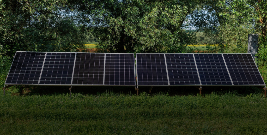 Two rows of black solar panels mounted on a grassy ground in front of dense green trees.