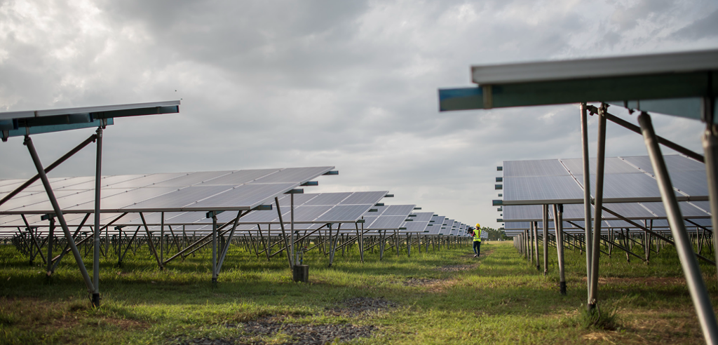 Rows of solar panels on ground mounts in a grassy field under a cloudy sky, with a person walking between them.