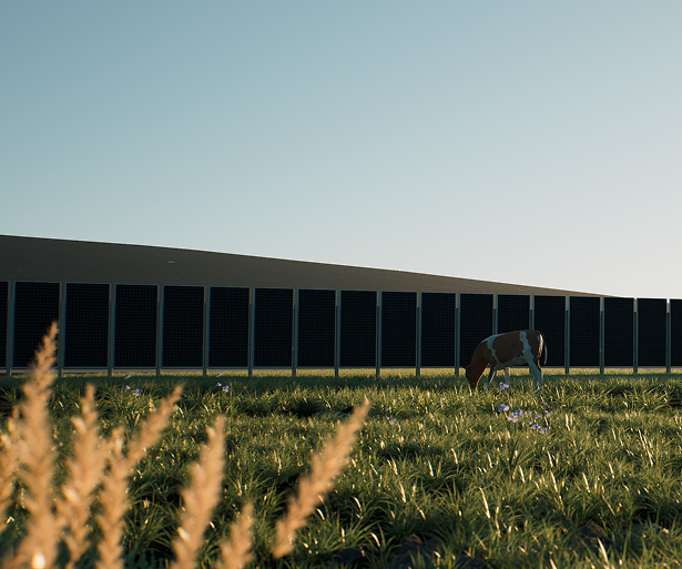 A brown and white cow grazes in a green field with a solar panel fence under a blue sky.